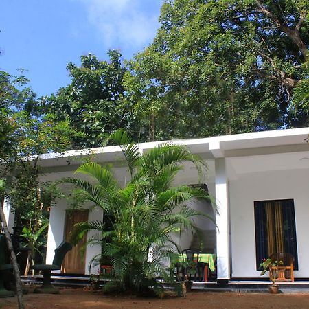 Sigiriya Mana B&B Exteriér fotografie