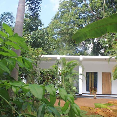 Sigiriya Mana B&B Exteriér fotografie