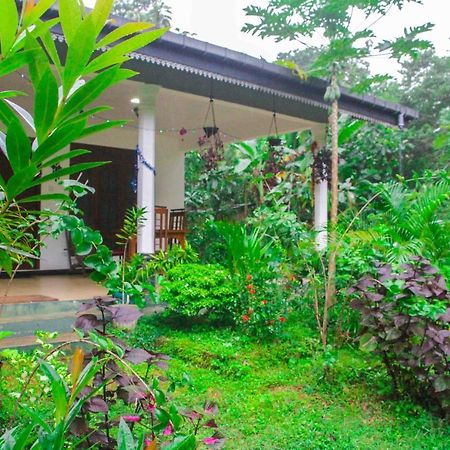Sigiriya Mana B&B Exteriér fotografie