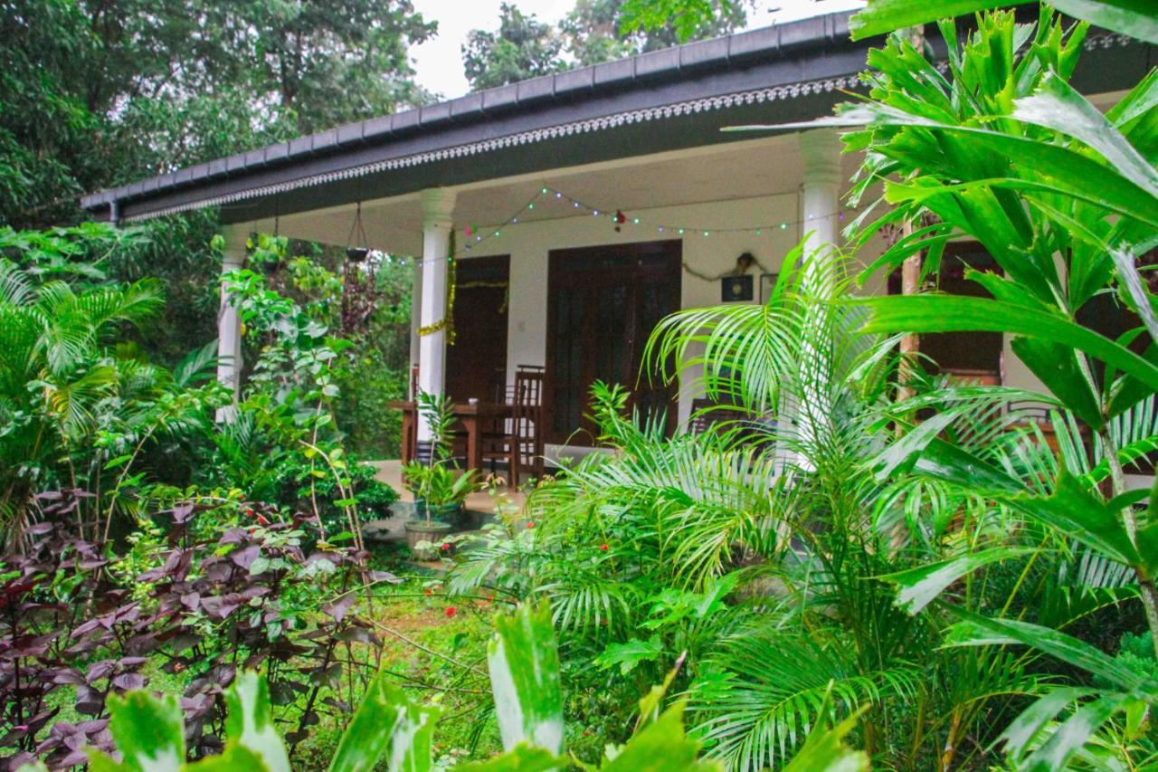 Sigiriya Mana B&B Exteriér fotografie