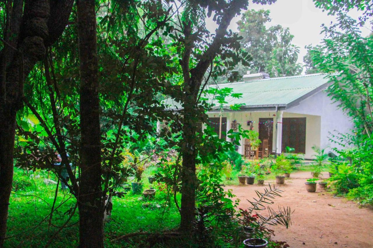 Sigiriya Mana B&B Exteriér fotografie