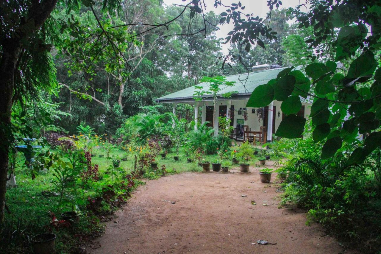 Sigiriya Mana B&B Exteriér fotografie