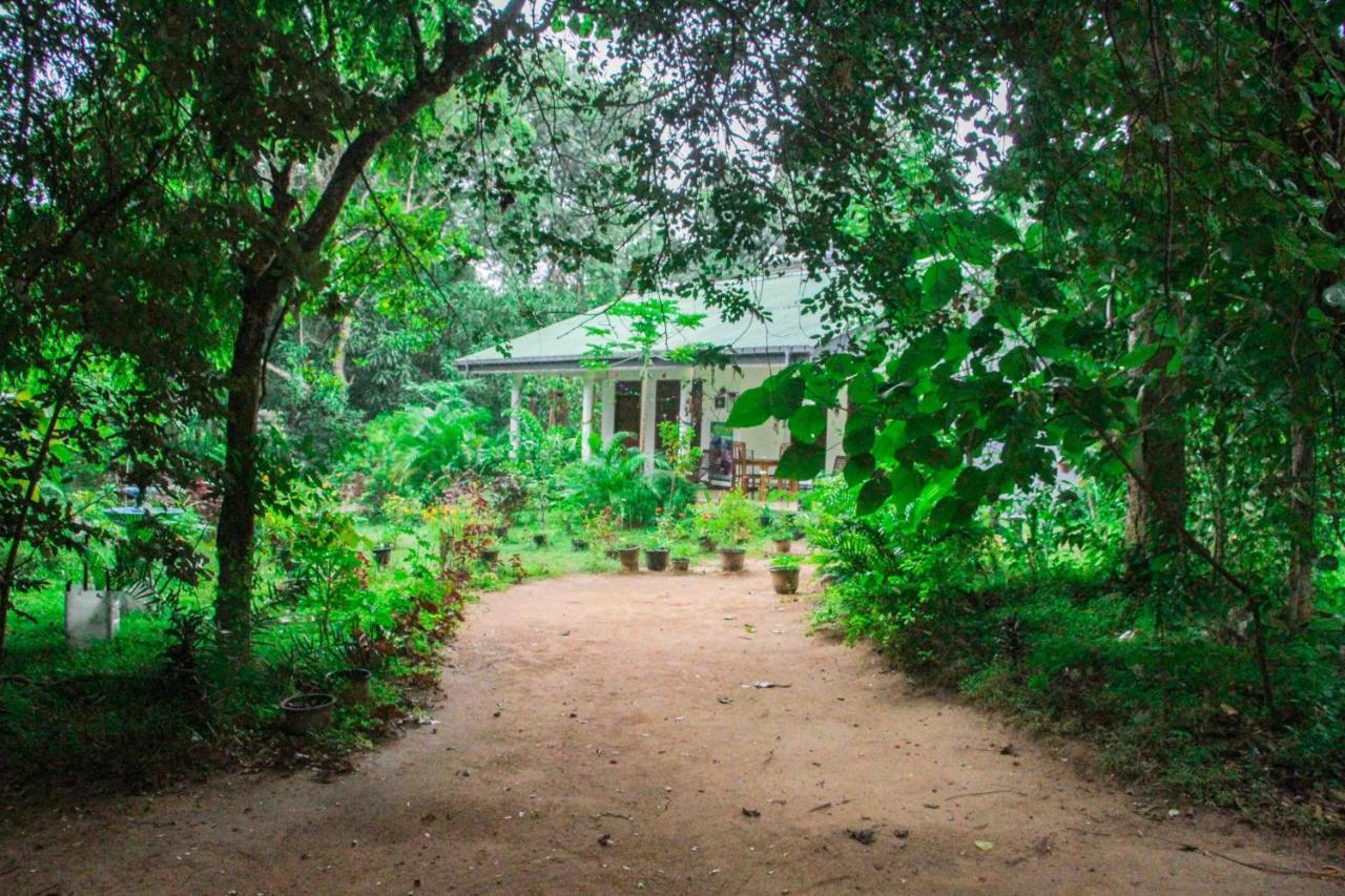 Sigiriya Mana B&B Exteriér fotografie