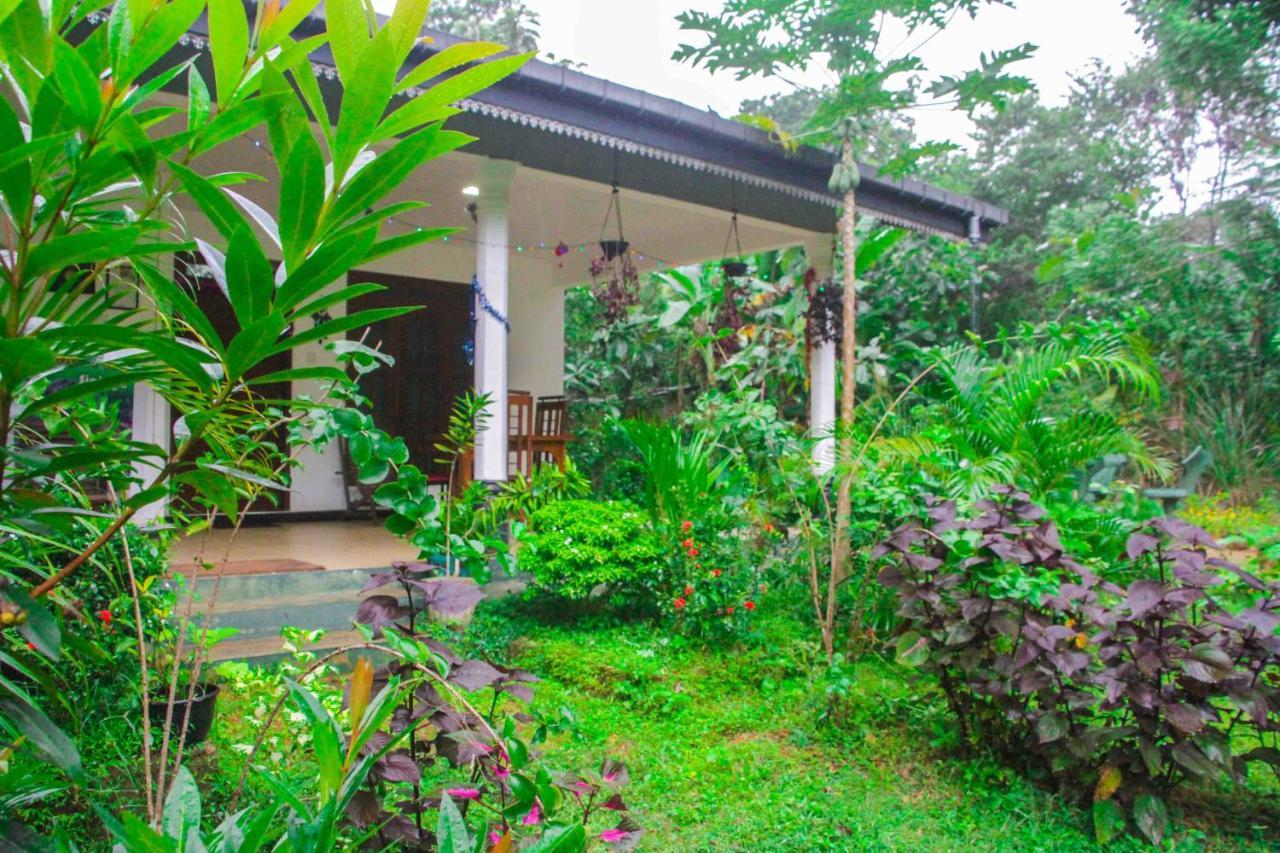 Sigiriya Mana B&B Exteriér fotografie
