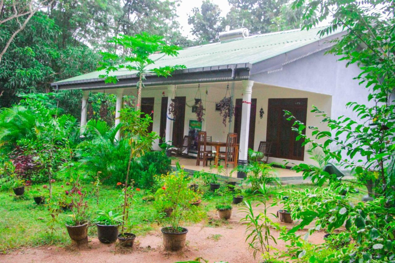 Sigiriya Mana B&B Exteriér fotografie